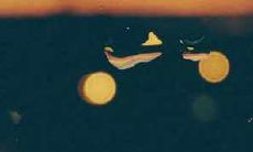 如何应对心情烦躁的句子，从而改善内心的状态和生活质量