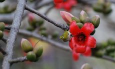 寻求帮助的问候短信:向朋友们请教的亲切问候方式