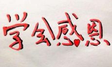 一份丰富详尽的感恩问候短信大合集,包含各种场合和对象的感激表达,让你的心意真切传达到每一个人!