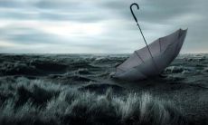 悔恨与反思——名人名言中的遗憾之句