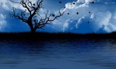 借助月光悠扬抒发情感的美妙句子