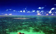 享受自然之美，感受环境宜人的简短描述