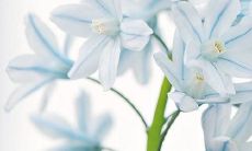 探究亲情的不可替代价值：描绘令人感动的关爱与牵挂，以及激励我们珍惜祖父母、父母、兄弟姐妹、子女等至亲的真挚情感