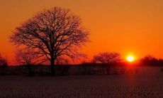 我对工作感到愤怒、失望和绝望:面对职场挑战的心理焦虑