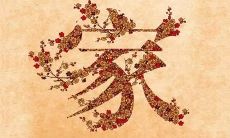 分享关于幸福、温暖的亲情:亲情之爱,一种独特的力量,给我们带来了无尽的快乐和幸福