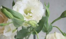 花开花美,万物欣欣向荣——流露幸福情怀的的美丽词句