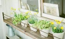 充满文艺气息、传达温暖正能量的积极句子