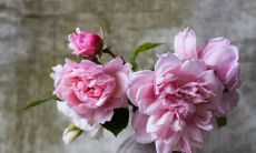 表达感恩之情，感谢那些曾经对我施以善意的人，并为这份温暖之情而流露的话语