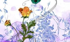 坚毅不屈，无惧逆境：突显一个人坚强意志的硬气语句