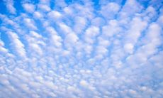 使用短信向病人发送关怀问候的有效而便捷的方式