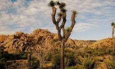 用生动的语言描绘绝美景致的华丽句子集锦