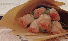 无烦恼的心态推崇：每一句都是充满阳光正能量的简单快乐句子