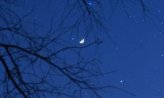 无助沮丧：表达心情低落的一些句子