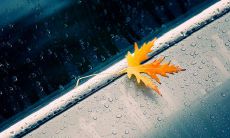 与亲人一同出游的欢乐时刻——幸福和温馨的旅行语句