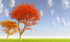 改写后的标题：寒冷天气降温，发问候短信传递温暖心意