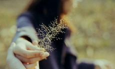 无与伦比的亲情:致敬我心中最珍贵的家人