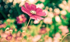 一句让我感动的话,让我深刻体会到亲情的珍贵与力量