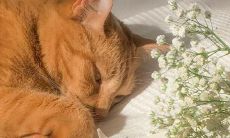 经典语录—最毒鸡汤：深刻启示人生真谛、令人心灵受创的语句合集