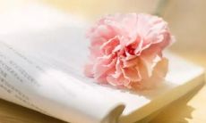 一些令人振奋的清晨正能量句子和励志短句子，带你开启愉悦的一天