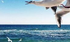 掌声响起！从容应对销售的黄金标语：短小蕴含幽默，让你轻松成交！