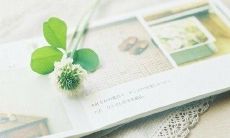 收集优美短句，让你感受到动人心弦的美好！