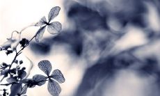 27句关于靠自己努力赚钱的名言与格言，启发你走向成功之路