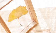 2022年必成流行趋势的热门说说，让你在社交网络中充满魅力和吸引力