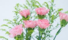 2022年最佳适用于朋友圈的、引人入胜的因素丰富的、让人赞叹不已的说说汇总