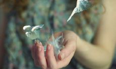 拥有成长与勇气:探索放下的人生感悟句子,让我们一起学会如何宽容、释放心灵,迎接更美好的人生!