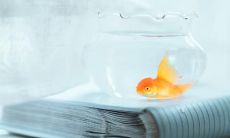 朋友圈生活日常分享：关于我的点滴琐事、心情感受与思考