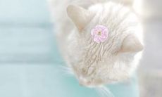 那些在朋友圈点赞率惊人的短句和说说，让你的社交媒体账户脱颖而出！