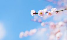 如何用简短的话语给人带来温暖?-冬季早晨暖心短语大全