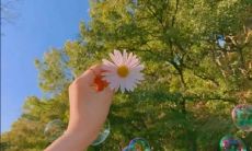 探索春季温柔美好的迷人世界——畅想春天万物复苏的自然景象与温馨之感