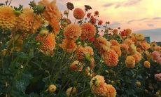 详述个人不幸的运气：深谈自己常常事与愿违的命途中那点点不幸的种种