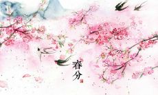探究传统文化：赏析春分节气所借用的典故和文化内涵，并呈现在诗词之中的优美表达