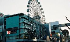 用句子表达珍视母爱、亲情的感受,以彰显人类感性一面