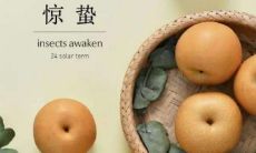 各种祝福语汇总，为你带来简单而真挚的惊蛰祝福！