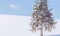 2021年的最后一个月，我们最后一次用语言记录下时光的流逝