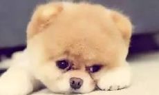 失望于家人冷漠无情的行为,损害了家庭纽带与亲情关系的情景描述