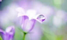 可爱而有关友情的英文句子，带给你温暖和幸福的感觉