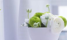 翩然绝美，令人陶醉的古风句子：探寻亲情的真谛