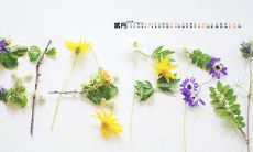 在我的余生中,我感恩遇见你——一个可以让我重新点燃生命激情的人