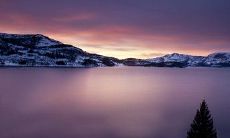 用短句表达的深情伤感的爱情表达