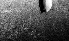 遭受无数心痛,如今沉淀为文字的深刻句子