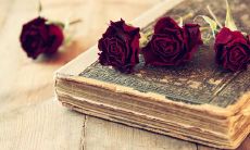 集锦：惊喜暖心情话大合集，令人陶醉的浪漫情话推荐