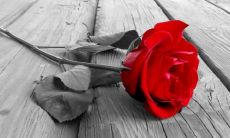 十分动人的让人心动的唯美情话推荐