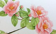 一些字数较多的标题示例：