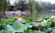 汇总：收录清华大学教授的智慧名言和警句，分享其中的人生哲理与经验