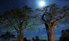 在暗夜中穿行:宛若绚烂宝石般闪烁的星空和映衬着月华的寂静街道,构成了一片令人陶醉的夜晚景色