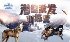 探索潜能、开发潜能、释放潜能——一系列激励人心的名言！